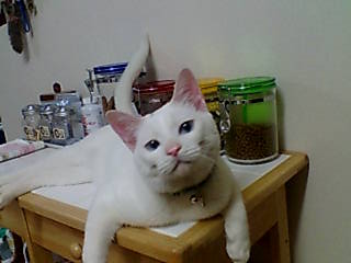 f0002833_0235959.jpg