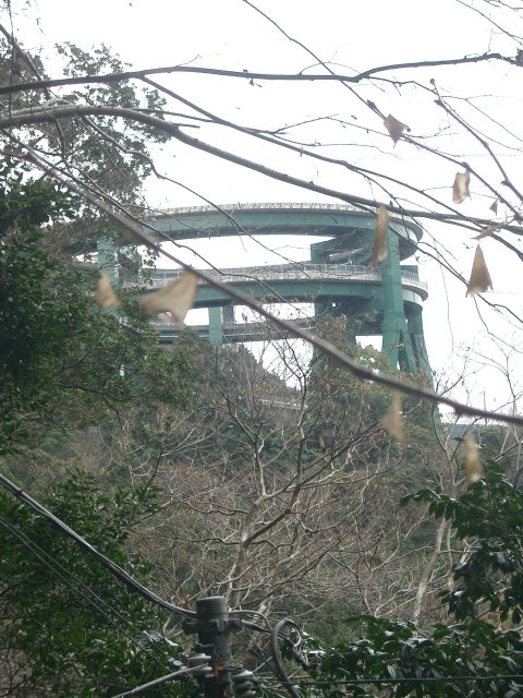 e0055642_28230.jpg