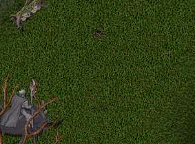 c0047143_4225953.jpg