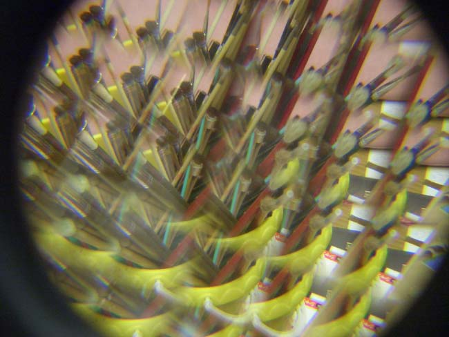 e0002850_2345150.jpg