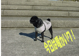 f0014371_742193.gif