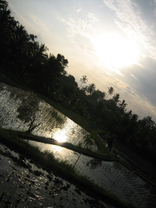 d0039075_20255625.jpg