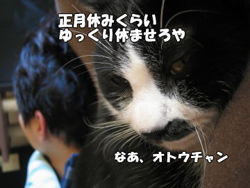 b0041182_11561355.jpg