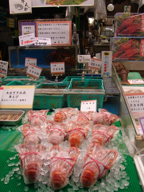 e0005887_15328.jpg