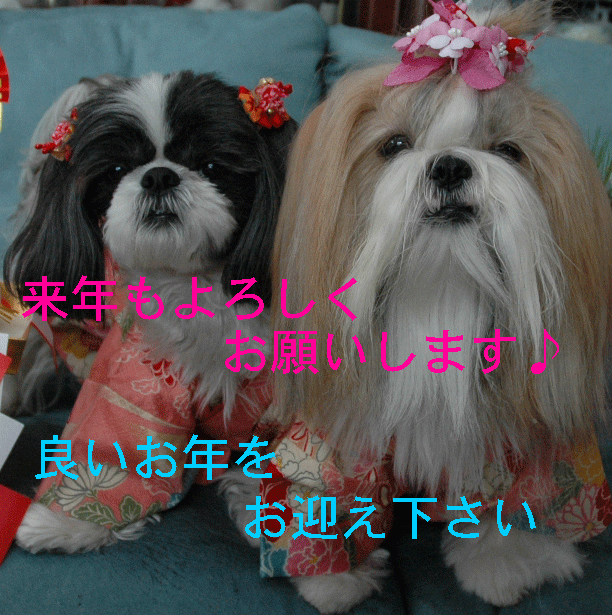 e0050801_15551056.gif