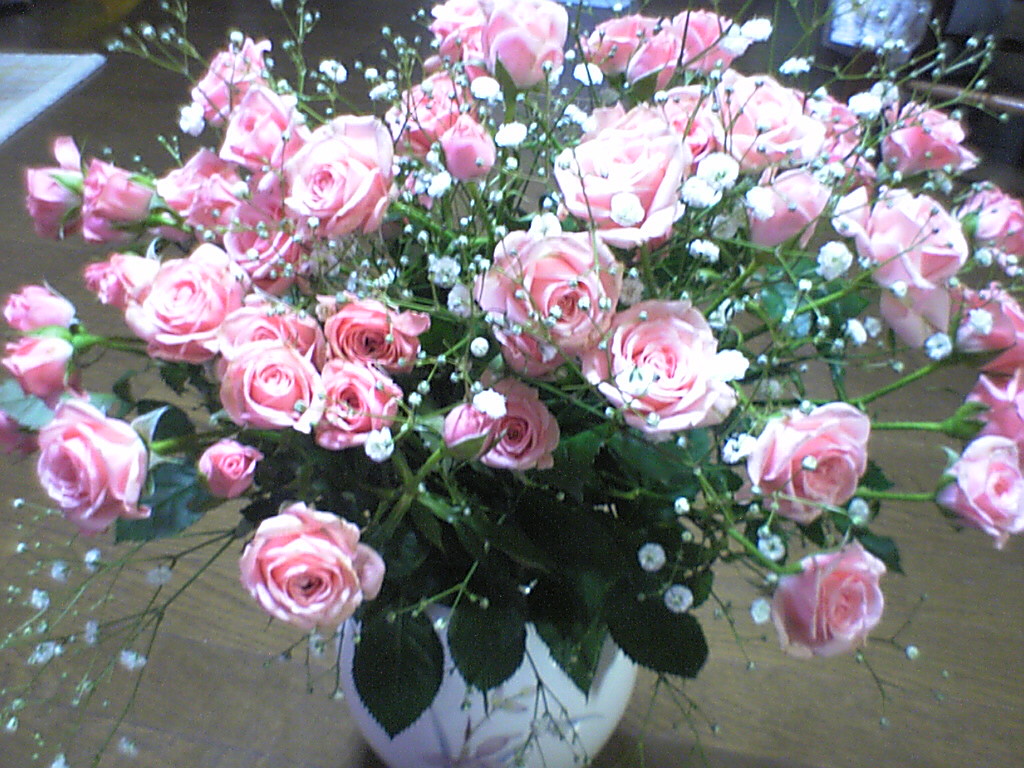 b0029704_2284049.jpg