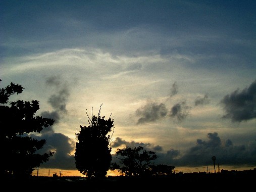 b0026610_16145088.jpg