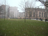 f0014011_2581787.jpg