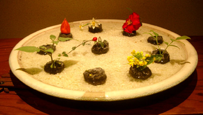 c0024515_0244138.jpg