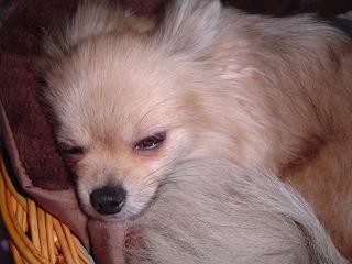 f0012924_0392199.jpg