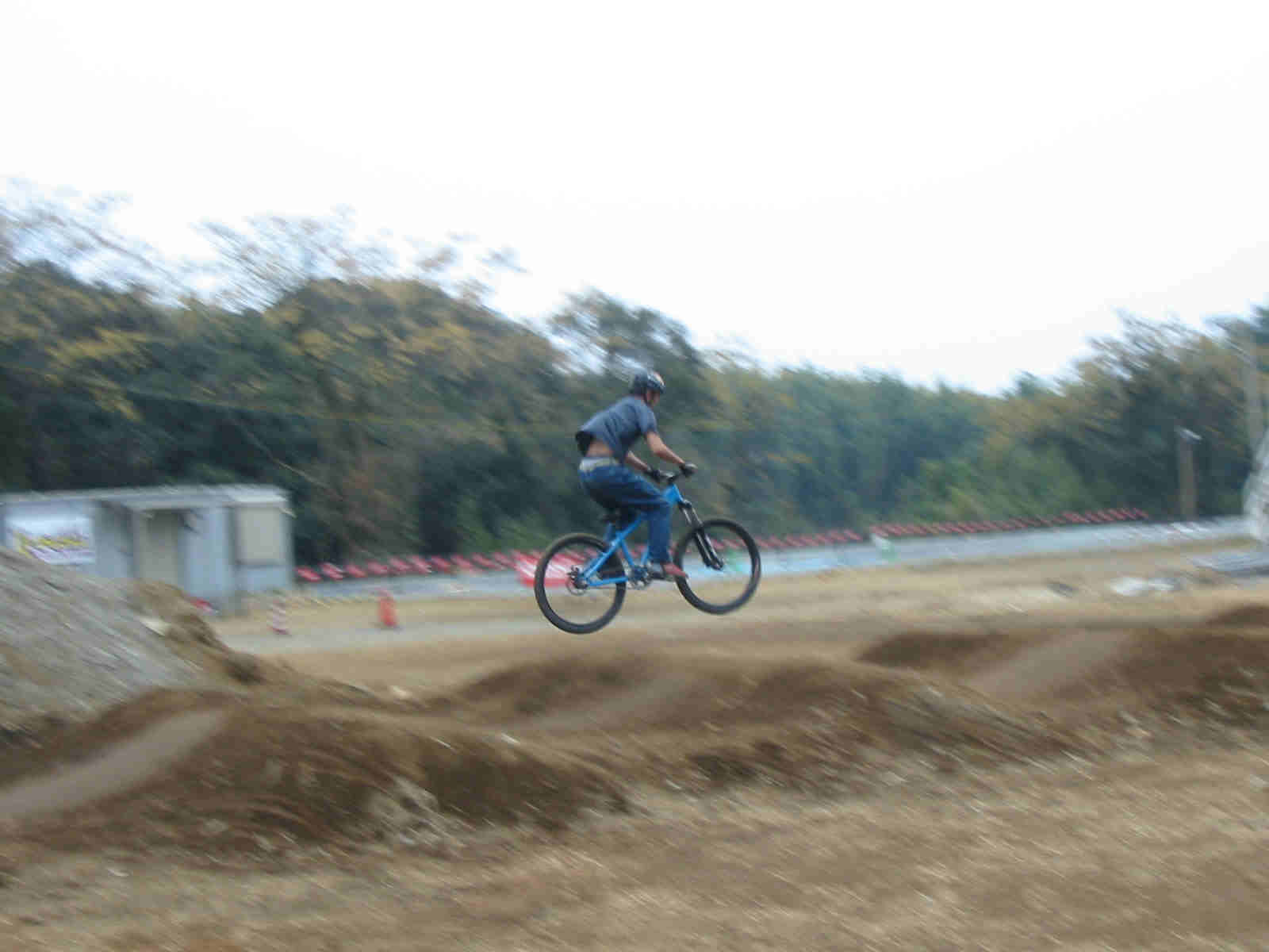 c0052042_2031768.jpg