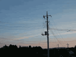 f0000148_23313970.gif