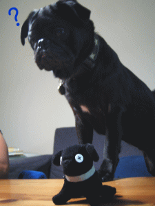 b0035453_13492256.gif