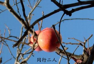 a0009666_11302735.jpg