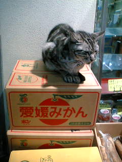 c0031467_20124575.jpg