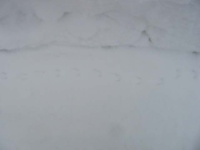 e0052074_0255284.jpg