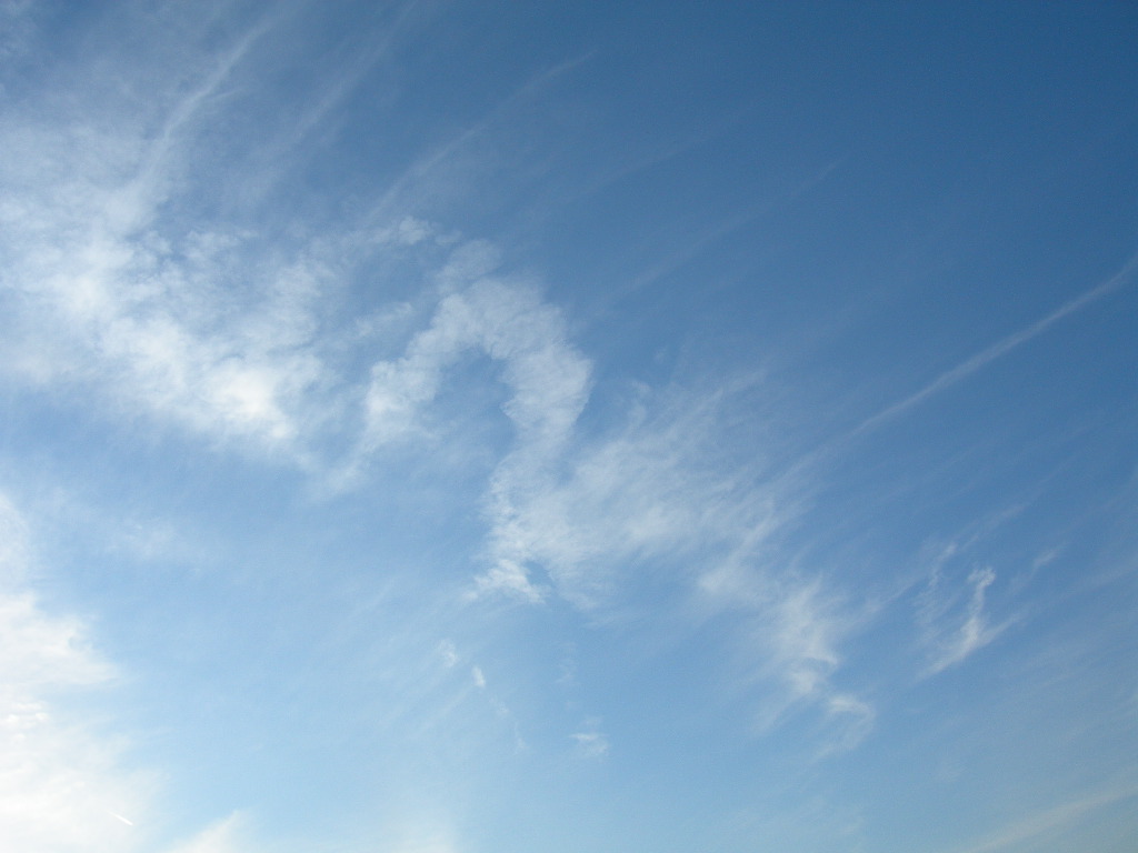 c0073377_15445473.jpg