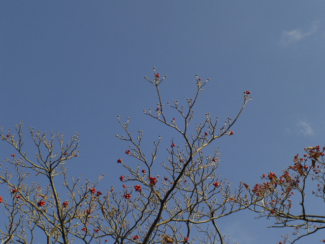 b0027880_16193262.jpg
