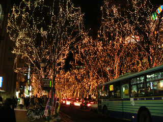 c0029190_22502726.jpg