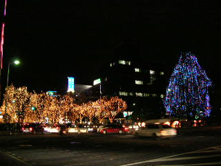 c0029190_22515752.jpg