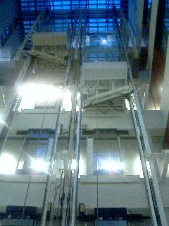 d0028195_15362398.jpg