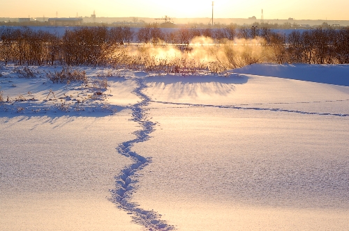 a0062697_18465979.jpg