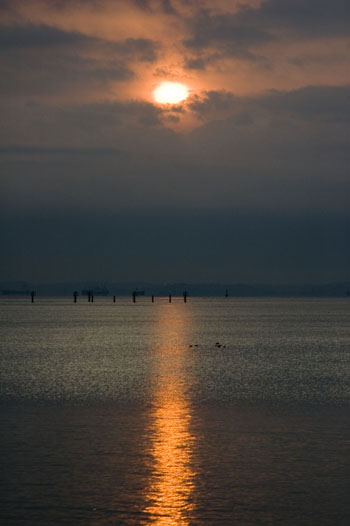 a0044202_8381727.jpg