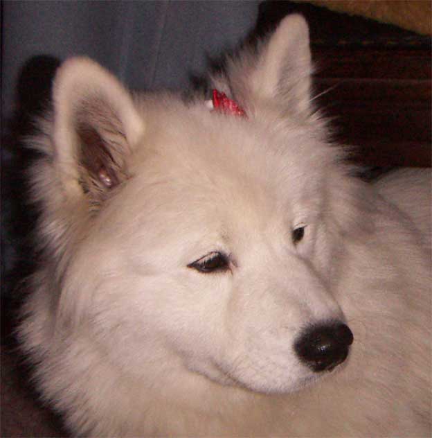 e0018604_013922.jpg