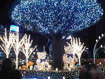 a0021421_21252464.jpg