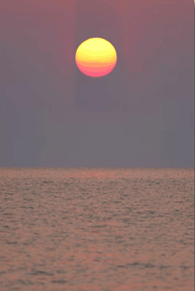 c0038034_1304993.gif