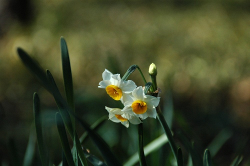f0032137_20313567.jpg