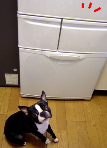 c0032567_20131395.jpg