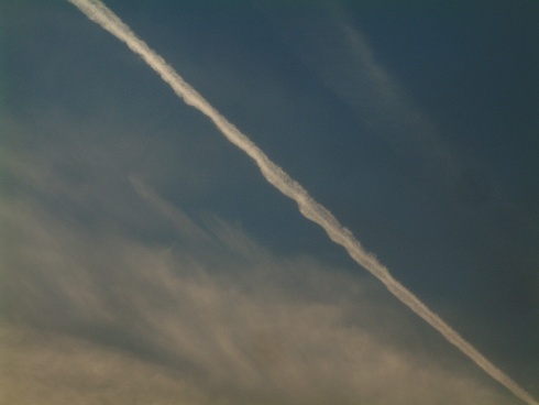 d0063278_1282385.jpg
