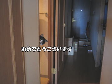 b0041182_0192172.jpg
