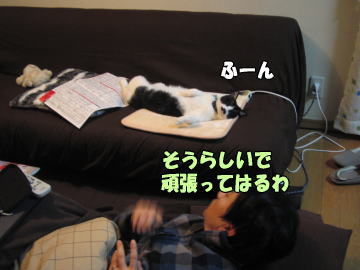 b0041182_1024778.jpg