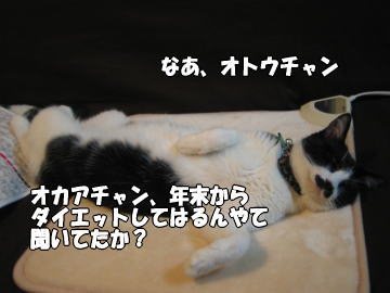 b0041182_10404985.jpg