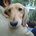 e0090084_20414293.jpg
