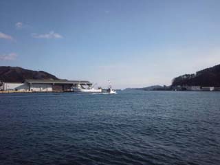 d0004301_235624.jpg