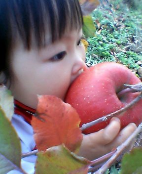 f0031013_22535893.jpg