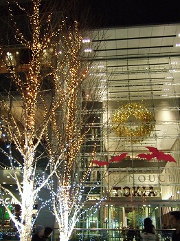 a0034419_8341544.jpg