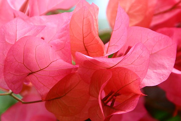 f0031423_9183889.jpg