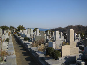 d0004426_1158561.jpg