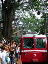 e0036628_2319084.jpg