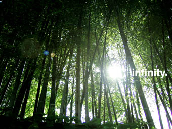 c0069552_1205522.jpg