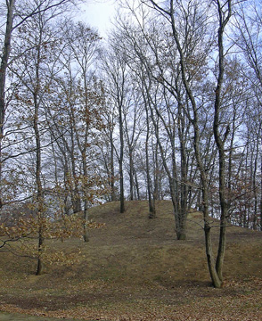 a0001354_17342314.jpg