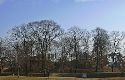 a0001354_17345941.jpg