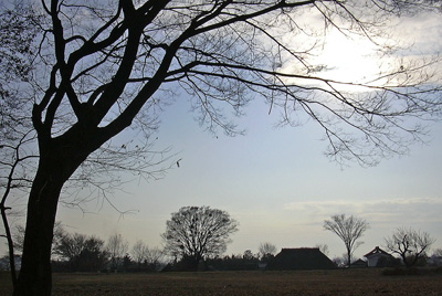 a0001354_1734846.jpg