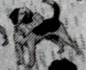 c0069464_20435733.jpg