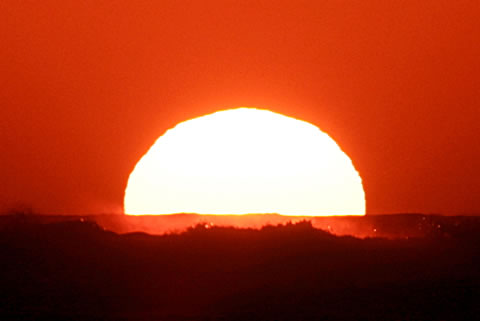 e0061768_803116.jpg
