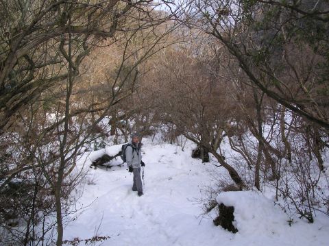 c0042869_15241530.jpg